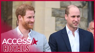 Why Prince Harry & Prince William's Rift Is Nowhere Near Over