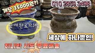 세상에 하나뿐인 흔하지않은 화분! 김해꽃화분 특가진행! 개당 35000원에 무료배송까지?! 찜 서두르세요