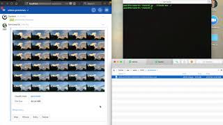 Mattermost Video Preview Script
