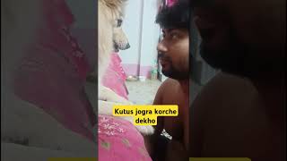 Kutus ar jhogra dekho sobai #doglover #dogloverschannel #dogowner #pets #viralvideos #shorts