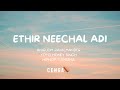 Ethir Neechal Adi Lyric Video | Ethir Neechal | Anirudh | HipHopTamizha | CENGAL