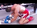 William Zepeda vs Luis Viedas Full Highlight TKO HD