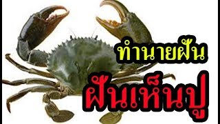 ฝันเห็นปู ทำนายฝันเห็นปูเยอะมาก  ทำนายฝันแม่นๆ