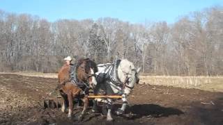 Plowing and Discing with Horses - Cedar Knoll