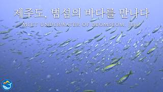 제주도, 범섬의 바다를 만나다 | 4K Cinematic documentary