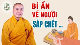 Người Trước Khi Ch ết Sẽ Thấy Điều Gì Nghe Để Biết Chuẩn Bị Những Gì Cho Người Thân Được Siêu Thoát