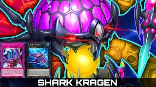 SHARK KRAGEN CONTROL DECK MASTER DUEL ▪ Festival Atributos 4