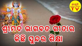 ଶ୍ରୀମଦ ଭାଗବତ ଗୀତାର କିଛି ସୁନ୍ଦର ଶିକ୍ଷା lGeeta lesson l janili