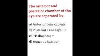 The anterior and posterior chamber of the eye are separated by......