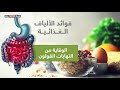 ما لا تعرفه عن الألياف الغذائية