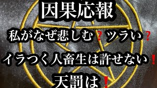 因果応報⚡️私がなぜ悲しむ❓ツラい❓イラつく人畜生は許せない❗️天罰は❗️