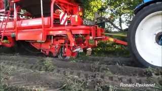 Aardappels rooien  Harvesting potatoes  Grimme, New Holland  JWD Markvoort  Overesch Heino