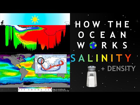 What does the work salinity mean?