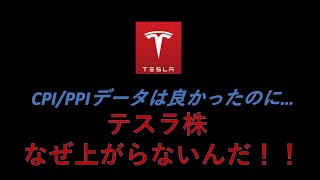 テスラ株なぜ上がらない！！！CPIデータはほぼ完璧な結果にもかかわらず。。。バックログ＝需要データ分析　ギガベルリンでBYD製バッテリー搭載モデルY