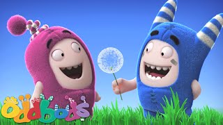 Oddbods | Dandelion