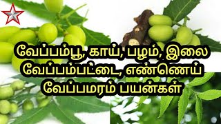 வேப்ப மரத்தின் மருத்துவ பயன்கள் | Benefits of Neem Tree | SHINING STAR CHANNEL