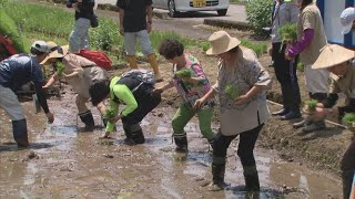 台湾からの旅行客が田植え体験　≪新潟≫