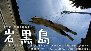 【岩黒島（香川県坂出市）】猫島。次から次へと猫が空を飛ぶ島があった！！！