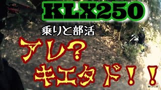 Flat屋ヒーロー部 KLX250乗りと部活！ PART1 平川林道編  WR250R で！モトブログ鹿児島#51