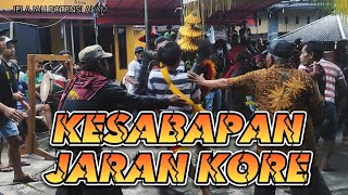 Mengerikan ‼️Kalap Kesabapan Jaran Kore || Jaran dor klasik poll