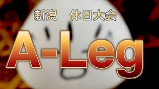 A-LegⅡ　feat. アイゴスキー　うったま　どらふる　わるぼう　火口　ブルーレイ　and more!!【スマブラSP　新潟県　大会】