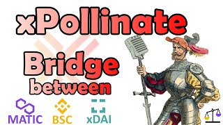 xPollinate -  Bridge Between - MATIC - BSC - xDAI - sometimes