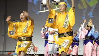 ♪神戸六甲連、てんばらみとら連、はなしか連　～阿波おどり - まるごと徳島Day2020～/ Awa Odori　　　　[4K]