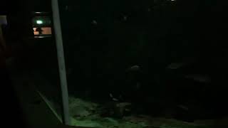 リアル夜の淡島　淡島水族館編２