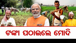 ଟଙ୍କା ପଠାଇଲେ ମୋଦି  | PM Modi Transfer money to farmers l PM Kisan Samman Nidhi | Odisha Reporter