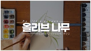 나의 작은 정원 l GREEN l 올리브 나무