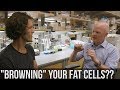 Insulin, Brown Fat & Ketones w/ Benjamin Bikman, PhD Insulin, Brown Fat & Ketones w/ Benjamin Bikman, PhD
