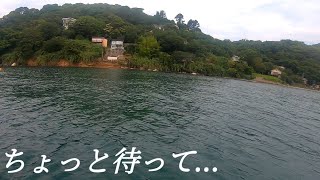 巨大アジが入れ喰いする湾内で襲うのは全く予想外の大物だった！