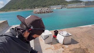 真冬の沖縄の海でフカセ釣りしてきた結果、、、【沖縄釣り】