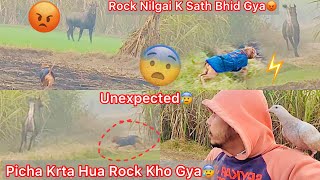 Rock Nilgai K Picha Bhagta Hua Khi Gayab Hogya😰Sb Jagha Dhund Lea😢Unexpected Day@ritikdoglover8914