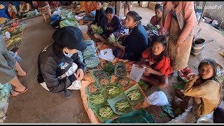 ตลาดบ้านไซสมบูน เมืองพิน แขวงสะหวันนะเขต สปป.ลาว ปลาหลด ไข่มดแดง ของป่าอาหารแซ่บ