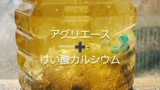 【きゅうり農家】【液肥】【酢】2020年10月29日液肥の作り方、酢酸カルシウム編  /農業 /農家 /籾殻 /キュウリ農家 /宮崎のキュウリ農家 /新規就農者 /液肥