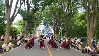 彩嵐風「天邪姫（あまのじゃく）」2024.08.04 彩夏祭 朝霞の森前演舞場