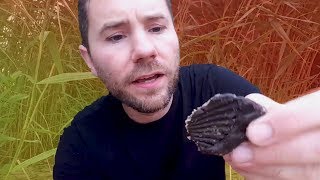 Calvert Cliffs State Park SHARK TEETH \u0026 FOSSIL Hunting 🦈