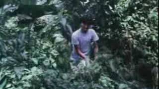 mr os - durian