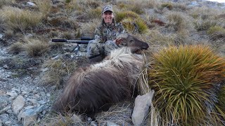 South Island Ladies Tahr Hunt November 2021