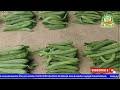 vegetables ఈరోజు చెన్నై మార్కెట్ లో కూరగాయల ధరలు today vegetable rates inchennai koyambedu market