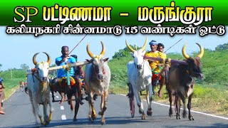 சின்னமாடு கலியநகரி 28.05.2022 இராமநாதபுரம் மாவட்டம் Chinnamadu kaliyanagari ksk rekla race திருவாடனை