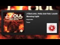 J-Soul pres. Andy Jaar featuring Leusin - Morning Light (Teaser)