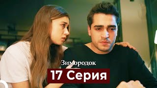 Зимородок 17 Cерия (Русский дубляж)