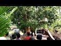 elephant attack pampady rajan at ithithanam elamkavu temple gajamela pathamudayam 2019