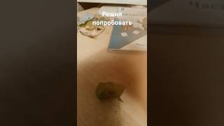 Решил попробовать