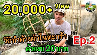 How to Build Tomato Trellis in Basket Using Bamboo