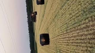 Case IH 1255xl Ballentransport