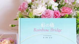 虹の橋〜Rainbow Bridge〜【朗読】