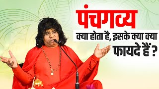 पंचगव्य क्या होता है, इसके क्या क्या फायदे हैं ? Acharya Shri Kaushik Ji Maharaj | Tulsi Mangalvani